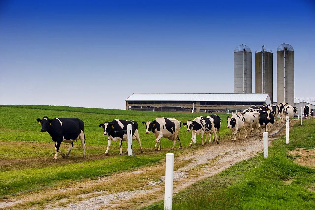 Agricultura